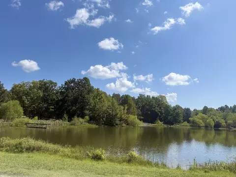 0 Ashley Dr, Beechgrove, TN 37018 photo 7
