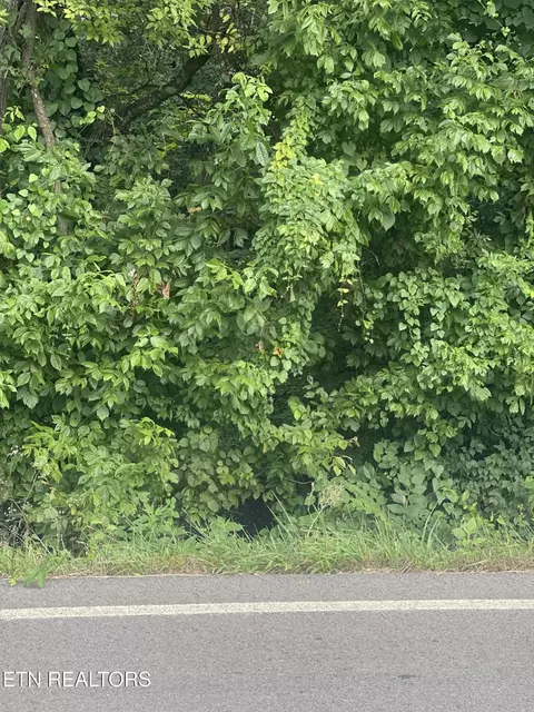 15 Sands Rd, Sweetwater, TN 37874