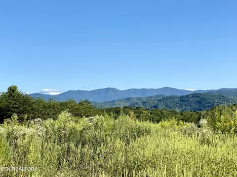 597617 Curtis Rd, Tellico Plains, TN 37385