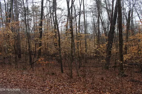 0 Songbird Ln, Maynardville, TN 37807