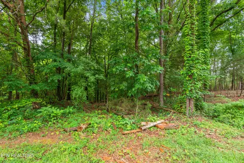 117 Chahyga Way, Loudon, TN 37774