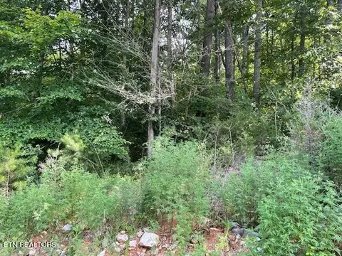 0 Pinnacle Pointe Way, Sharps Chapel, TN 37866