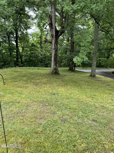 561 Grape Rough Rd, Oneida, TN 37841 photo 8