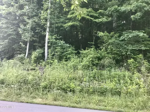 0 Johnson Valley Rd, Philadelphia, TN 37846