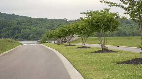 313 Cape Cod, Loudon, TN 37774 photo 3