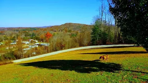 460 Echo Point Rd, Oneida, TN 37841 photo 36