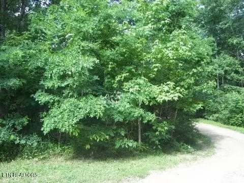 30 Butternut Ln, Sevierville, TN 37876