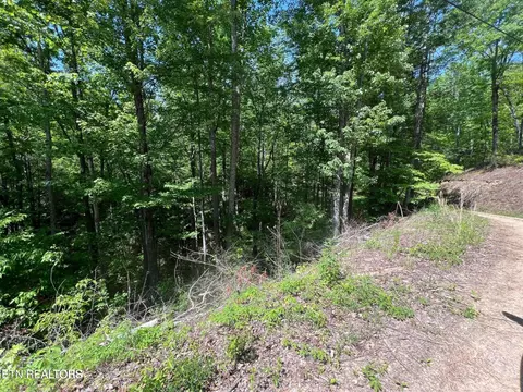 55 Butternut Ln, Sevierville, TN 37876
