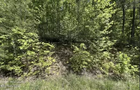 23 Green Meadows Dr, Sevierville, TN 37876