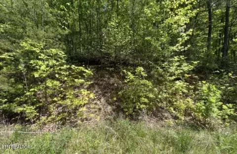 50 Yellowwood Dr, Sevierville, TN 37876