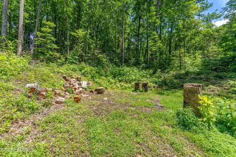 229 Sonshine Ridge Rd, Cosby, TN 37722