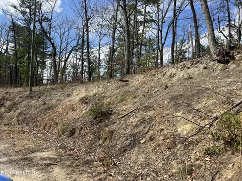 0 Chestnut Ridge Ct, Sevierville, TN 37876