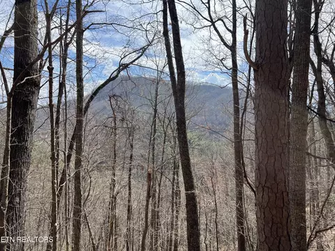 0 Aintree Dr, Sevierville, TN 37876
