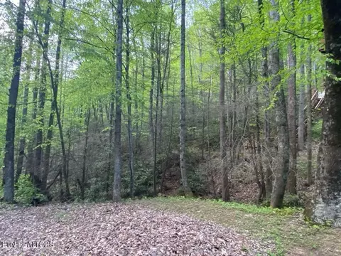 26 Alpine Dr, Sevierville, TN 37876