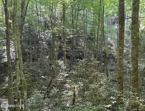 70 Hazelnut Ln, Sevierville, TN 37876