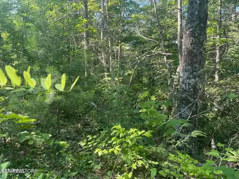 1 Sycamore St, Sevierville, TN 37876