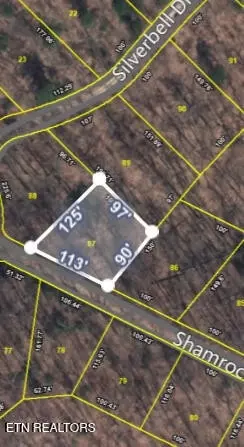 87 Shamrock Pl, Sevierville, TN 37876