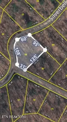 88 Silverbell Dr, Sevierville, TN 37876