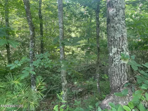 71 Hazelnut Ln, Sevierville, TN 37876