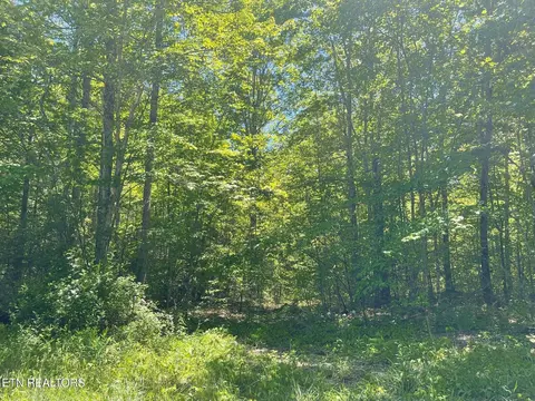 0 Rob Watson Rd, Oneida, TN 37841 photo 2