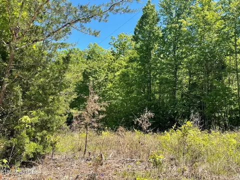 0 Rob Watson Rd, Oneida, TN 37841 photo 5