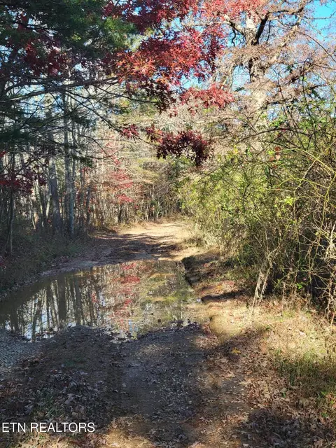 0 Kidd Mill Rd, Oneida, TN 37841 photo 24