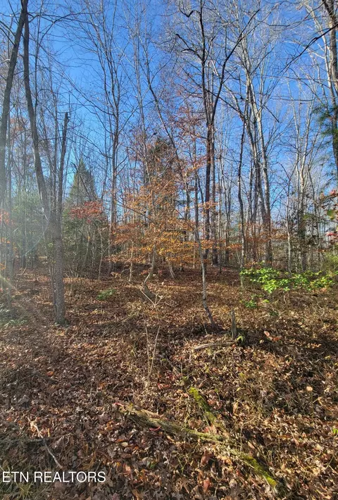 0 Kidd Mill Rd, Oneida, TN 37841 photo 5
