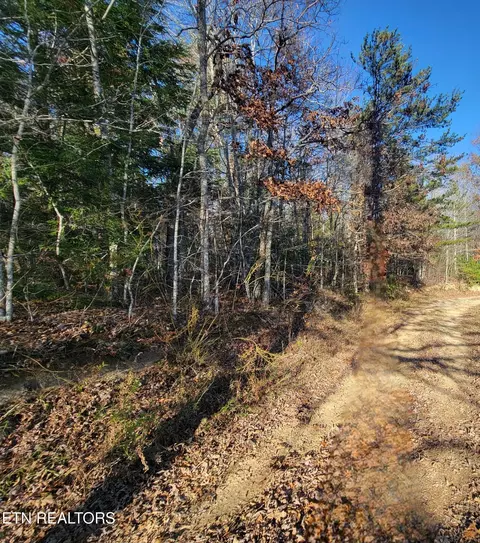 0 Kidd Mill Rd, Oneida, TN 37841 photo 3