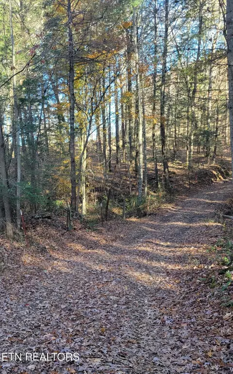 0 Kidd Mill Rd, Oneida, TN 37841 photo 16