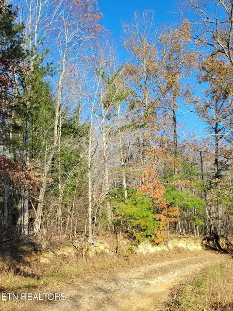 0 Kidd Mill Rd, Oneida, TN 37841 photo 4