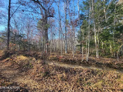 0 Kidd Mill Rd, Oneida, TN 37841 photo 2