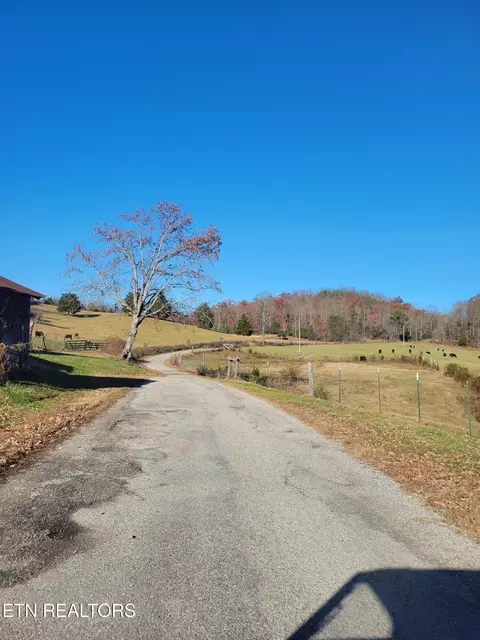 0 Kidd Mill Rd, Oneida, TN 37841 photo 9