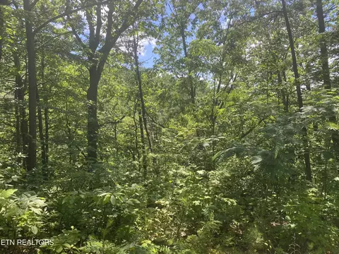 54 Magnolia Pl, Sevierville, TN 37876