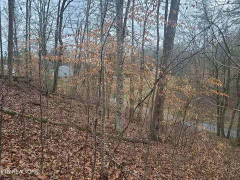 0 Keystown Rd, Luttrell, TN 37779 photo 5