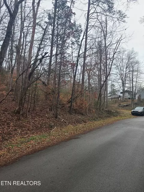 0 Keystown Rd, Luttrell, TN 37779 photo 3