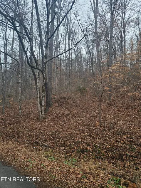 0 Keystown Rd, Luttrell, TN 37779 photo 4