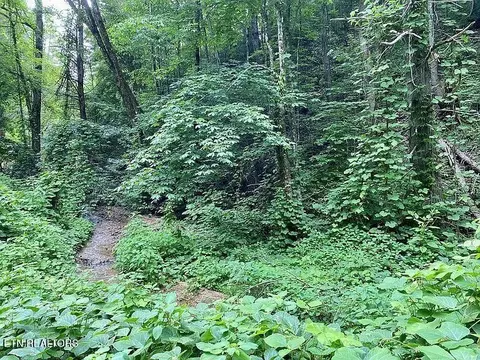 0 Black Walnut Flats Rd, Sevierville, TN 37862