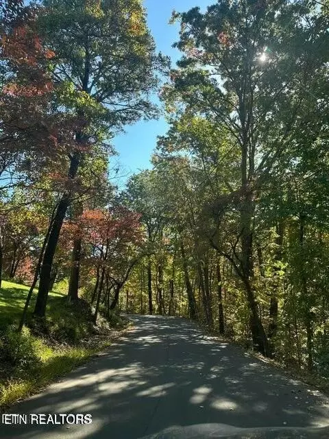 0 Smoky Mountain View Dr, Seymour, TN 37865