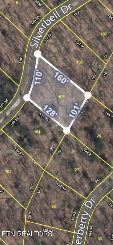 105 Silverbell Dr, Sevierville, TN 37876