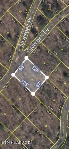 34 Silverbell Dr, Sevierville, TN 37876