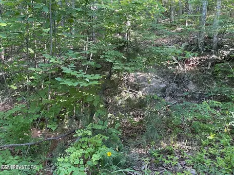 22 Elderberry Dr, Sevierville, TN 37876