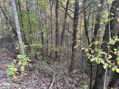 1781 Rich Mtn Way, Sevierville, TN 37876