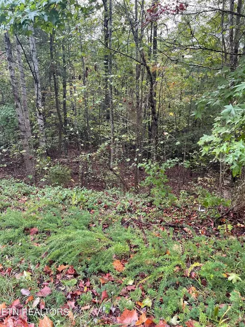 445 Hawken Dr, Walland, TN 37886
