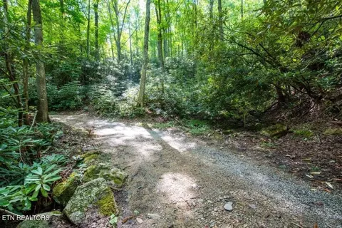 10 Carrs Creek Rd, Townsend, TN 37882