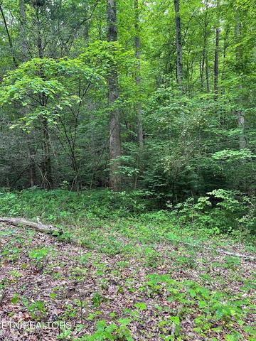 2 Old Cades Cove Rd, Townsend, TN 37882