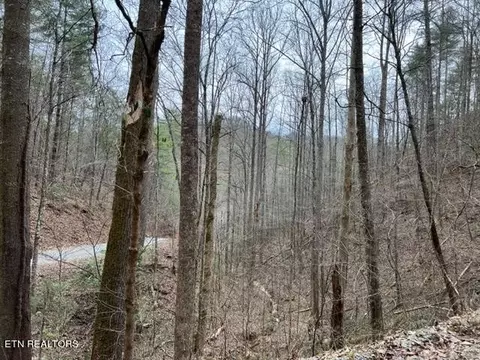 0 Woodside Ln, Sevierville, TN 37862