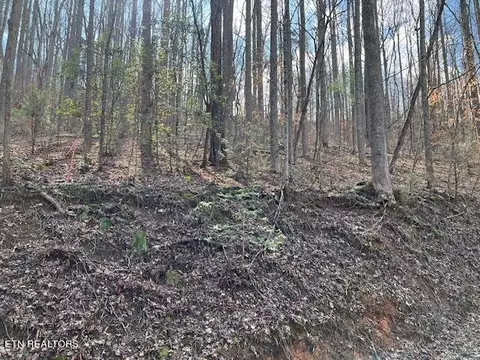 0 Grey Fox Run, Sevierville, TN 37862