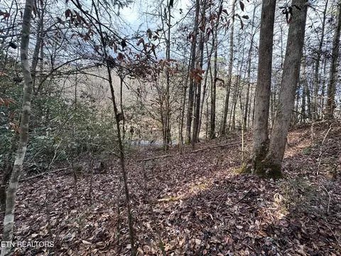 0 Little Bear Trail Way, Cosby, TN 37722