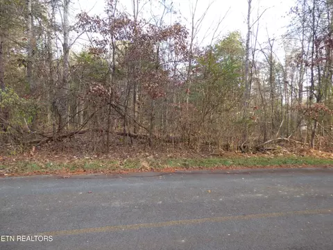 0 Cove Ln, Baneberry, TN 37890