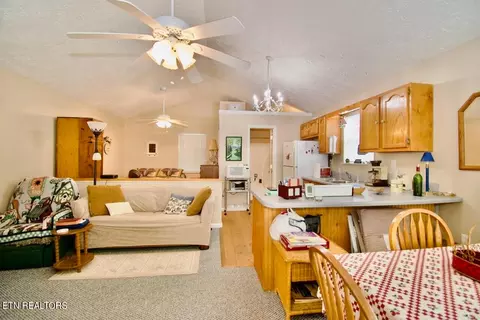 4 Carnes Rd, Townsend, TN 37882 photo 7